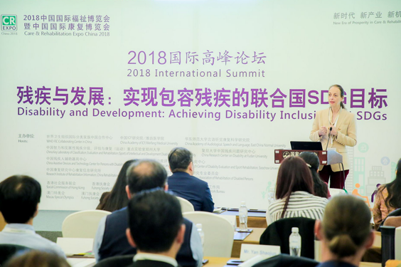 The 2018 International Summit on Disability and Development co-sponsored by our school ended successfully